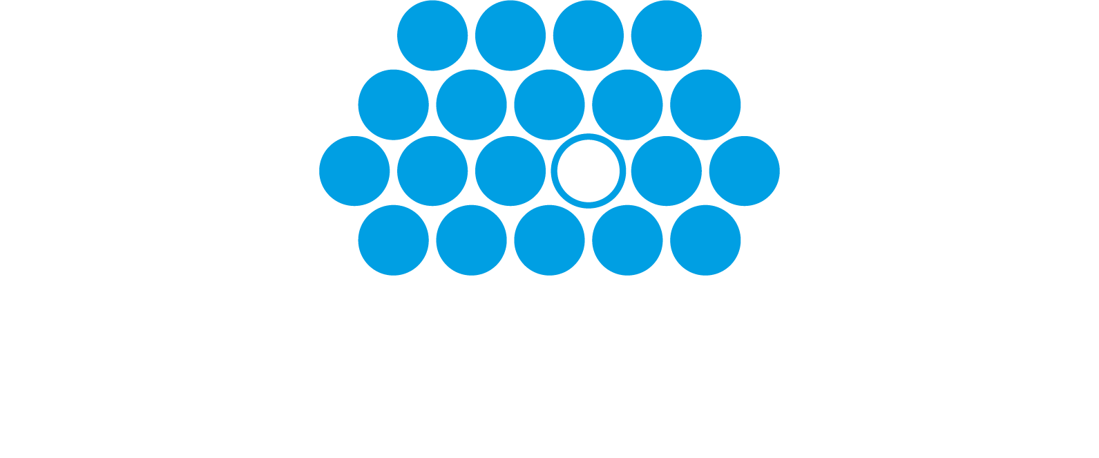 logo bianco