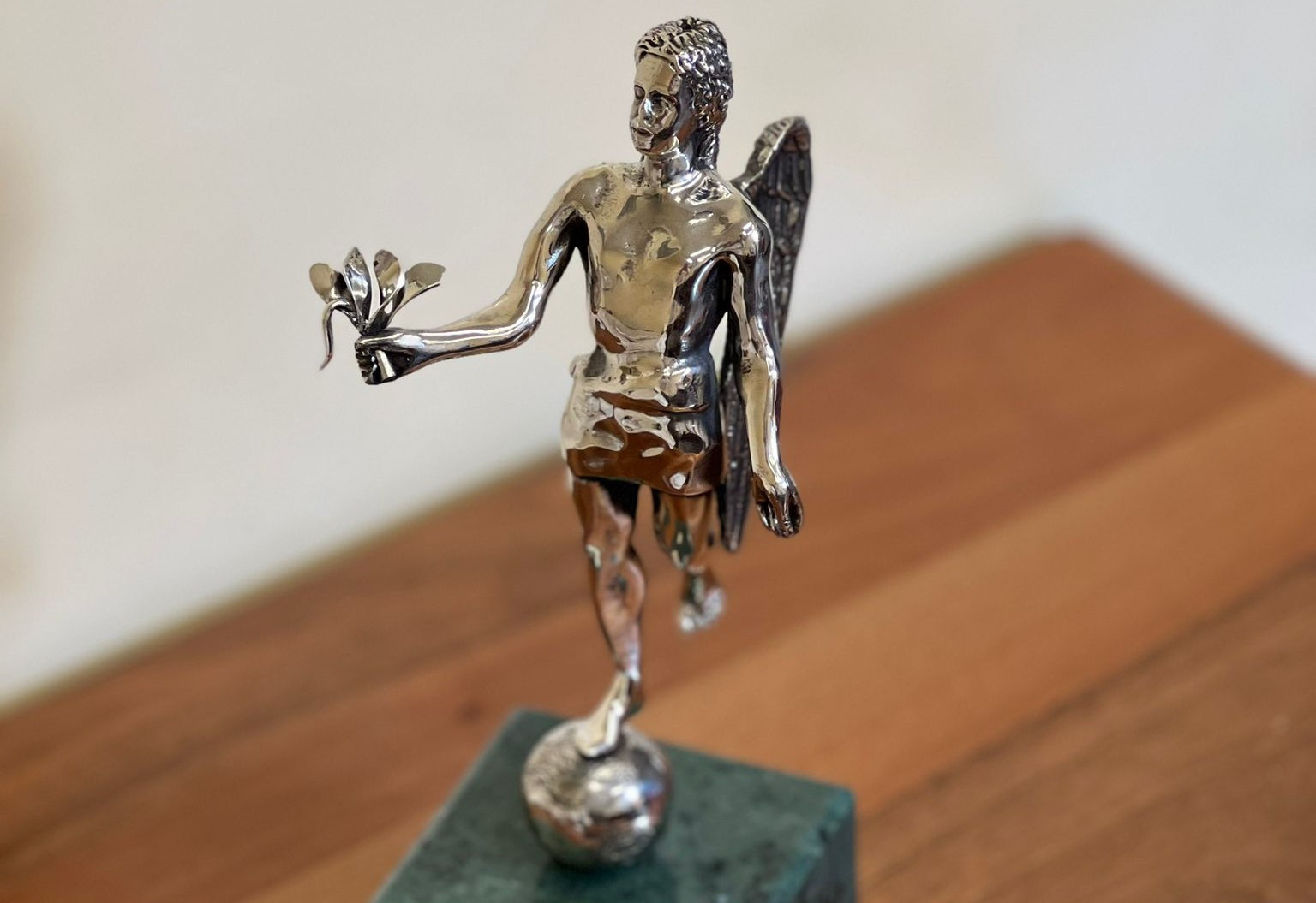 Vista da vicino del Premio Angelo Ferro