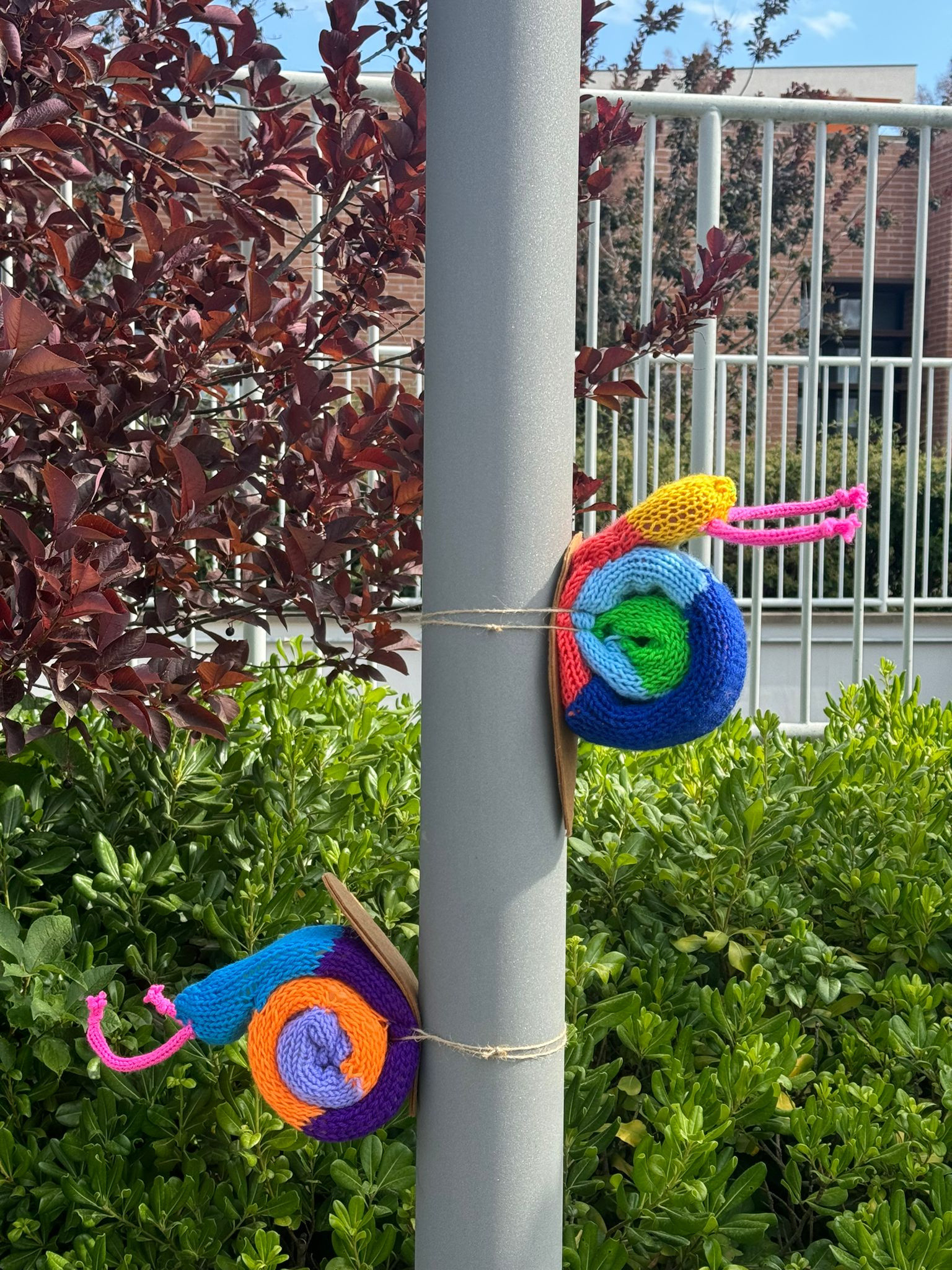 La Lega del Filo d’Oro ha aderito e promosso lo Yarn Bombing: due lumachine fatte a maglia salgono lungo il palo della luce