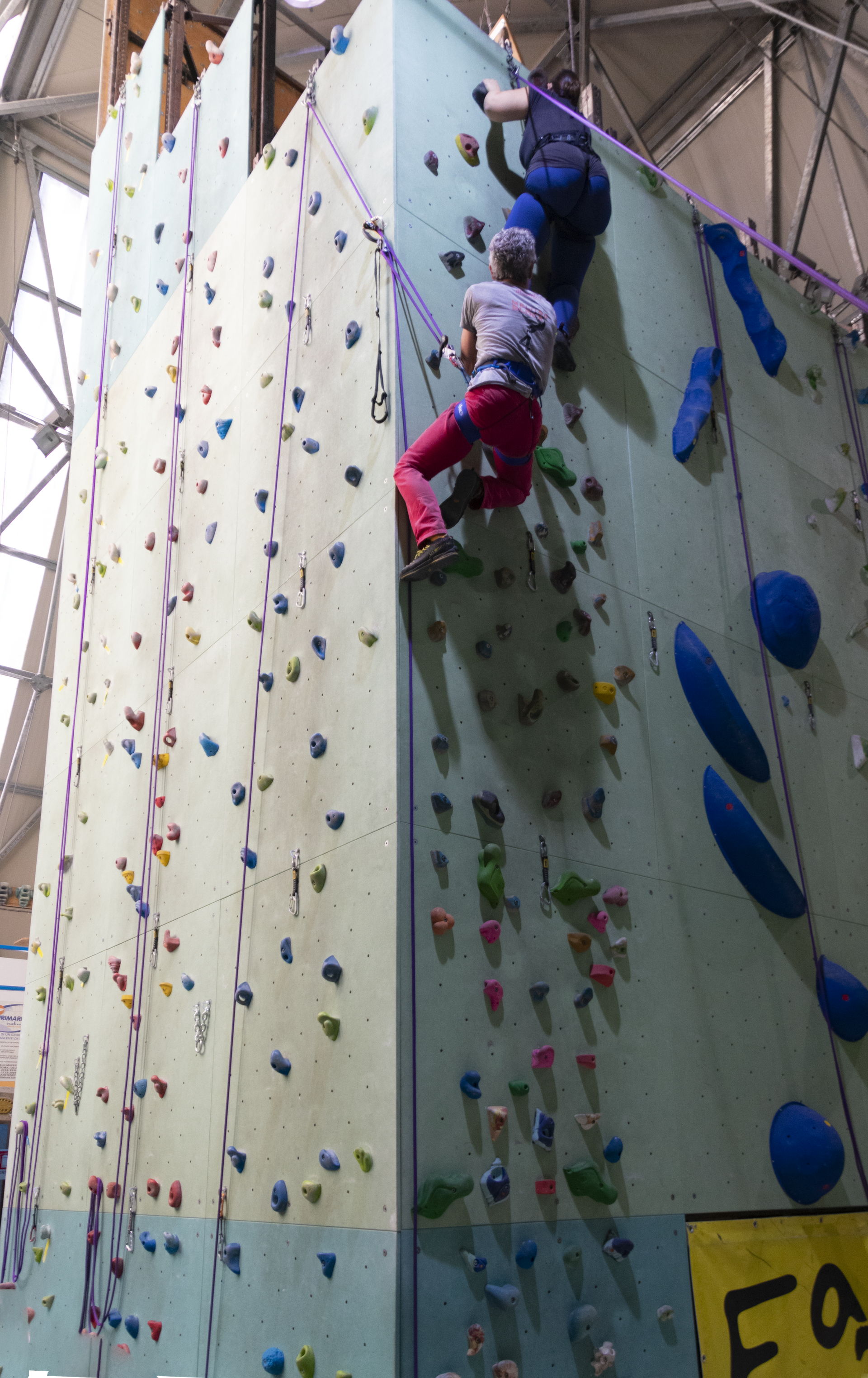 Un gruppo di persone seguite dal Servizio Territoriale di Osimo ha recentemente partecipato ad una giornata di arrampicata, con l'obiettivo di andare oltre le barriere sensoriali, sviluppare fiducia in sé stessi e socializzare. Un utente sta scalando la parete in cemento dove ci sono le apposite prese colorate. L'utente si trova in altro ed è protetto dall'imbracatura mentre il personale esperto lo sta aiutando.