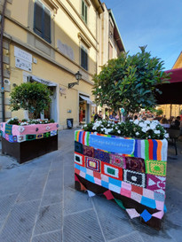 2021-06-27 Pisa YB+(1)
