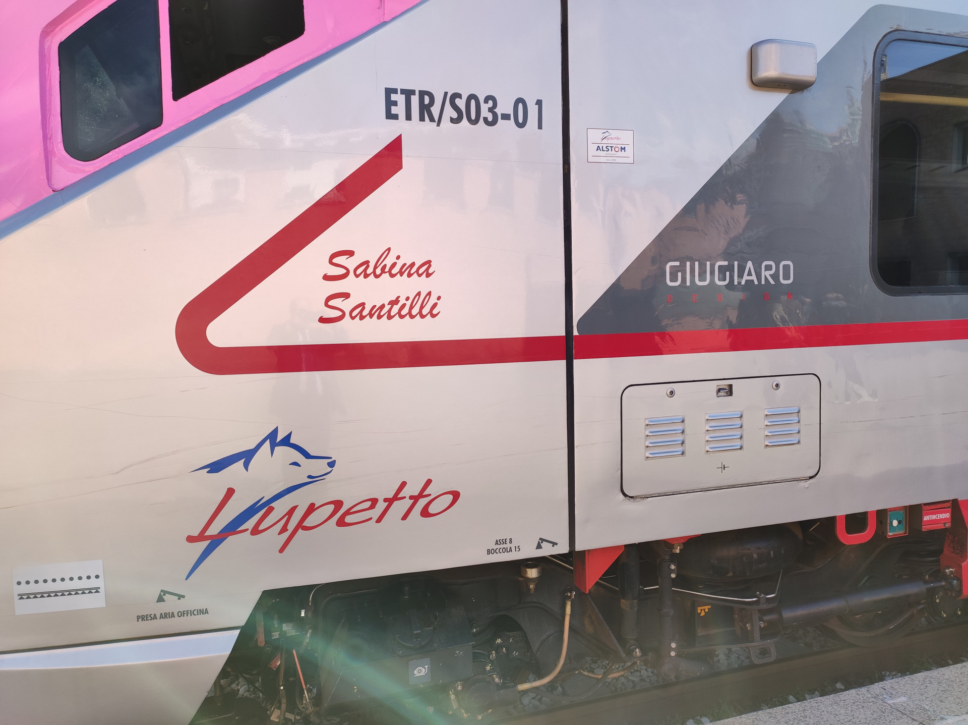 Primo piano della fiancata di un treno decorato in onore di Sabina Santilli, una delle fondatrici della Lega del Filo d’Oro. Il treno presenta un elegante decoro rosso e la scritta in corsivo “Sabina Santilli”