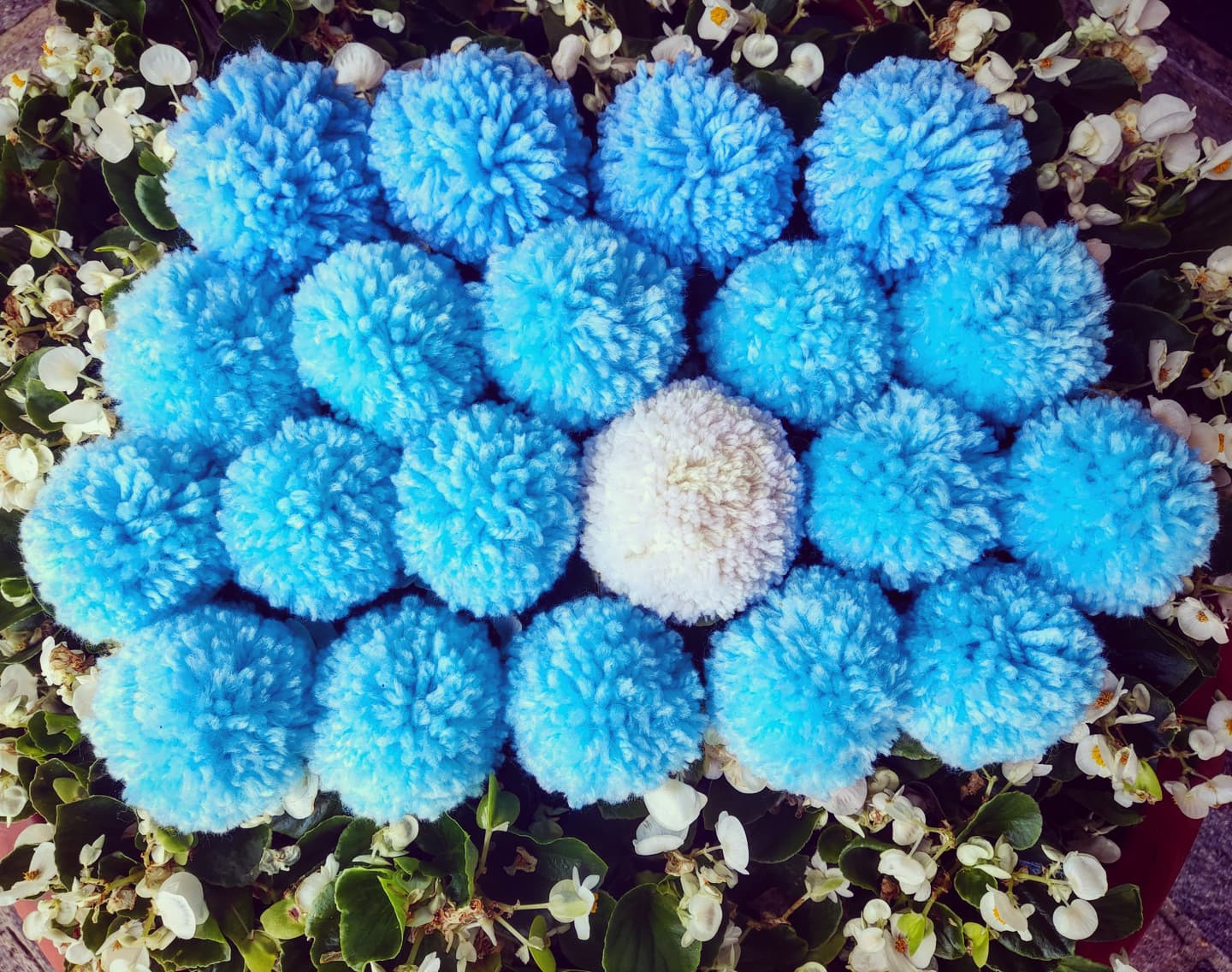 20230627+YARNBOMBING