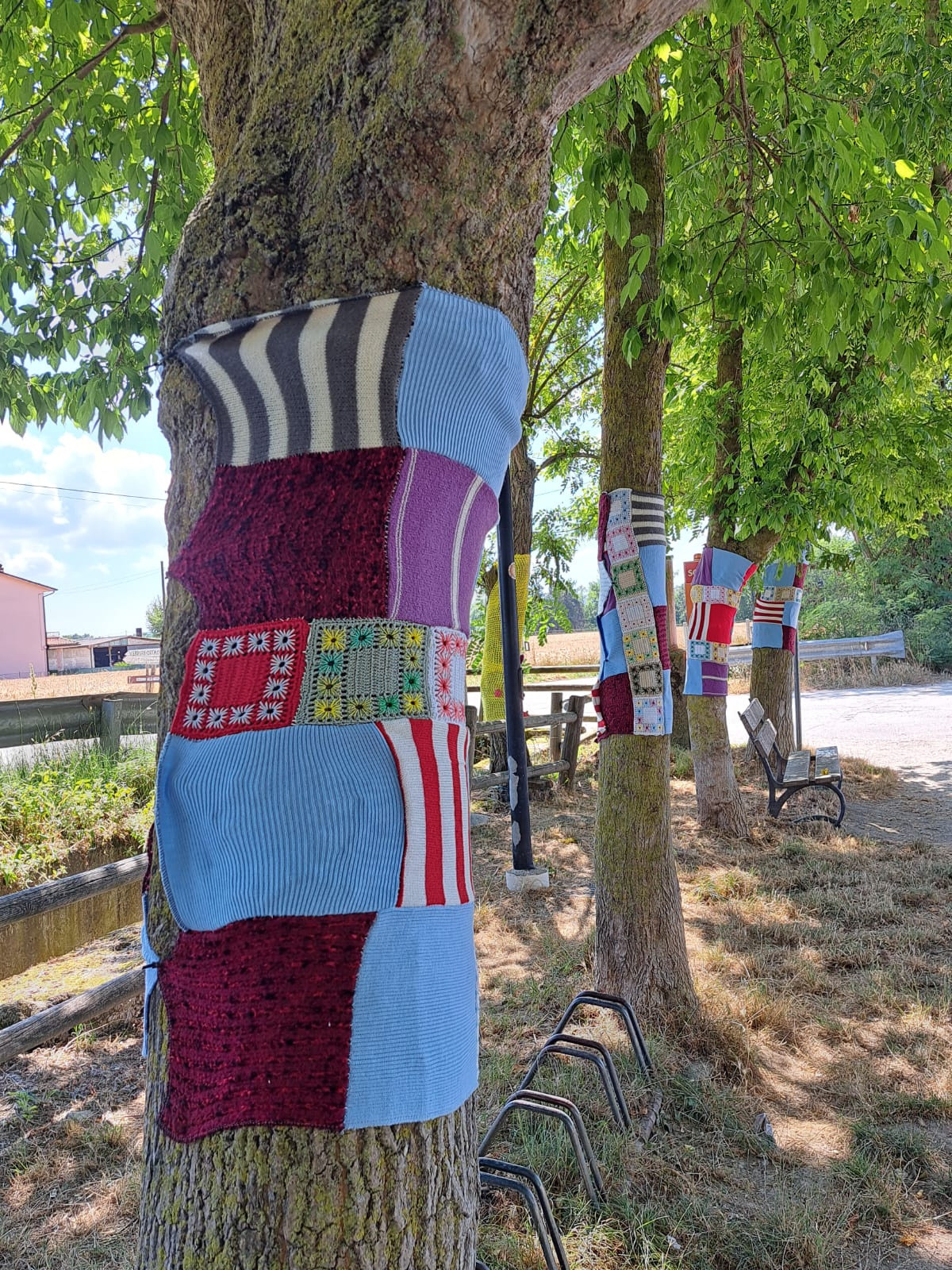 La Lega del Filo d’Oro ha aderito e promosso lo Yarn Bombing: coperte in maglia colorata rivestono i tronchi degli alberi