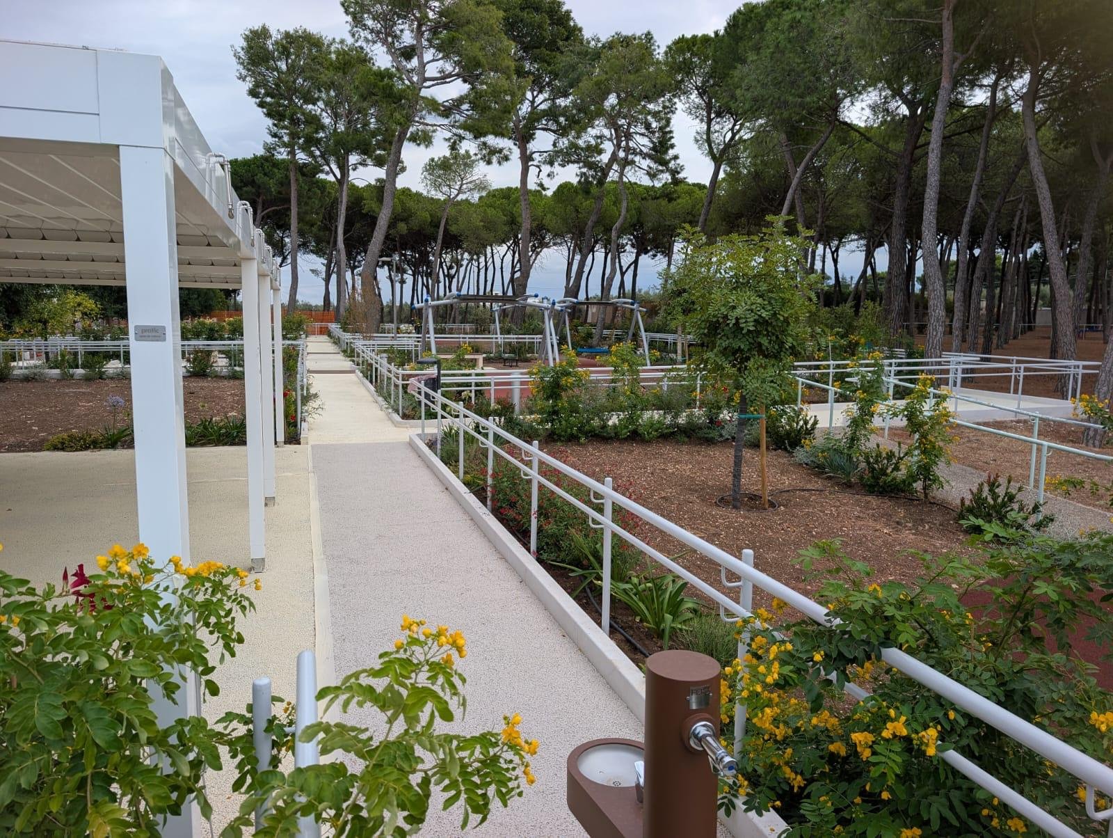 Parco giochi ospitato nella pineta del Centro Residenziale di Molfetta, un’area verde nella quale i giochi sono immersi in uno spazio ricco di stimoli sensoriali, e dove i nostri utenti possono trascorrere il tempo all’aria aperta.