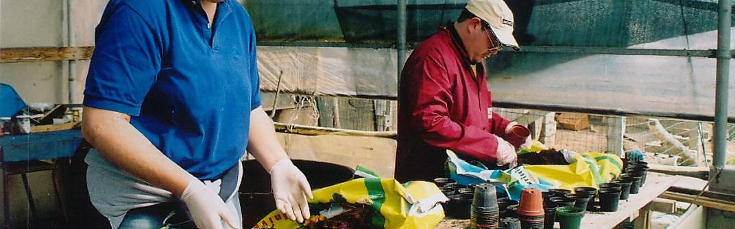 Un utente e una donna lavorano all'interno di una serra piantando alcuni vasi di piante