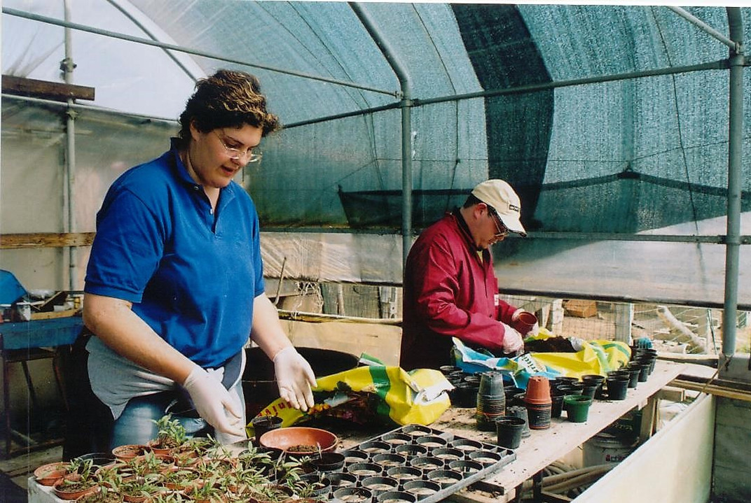 Un utente e una donna lavorano all'interno di una serra piantando alcuni vasi di piante