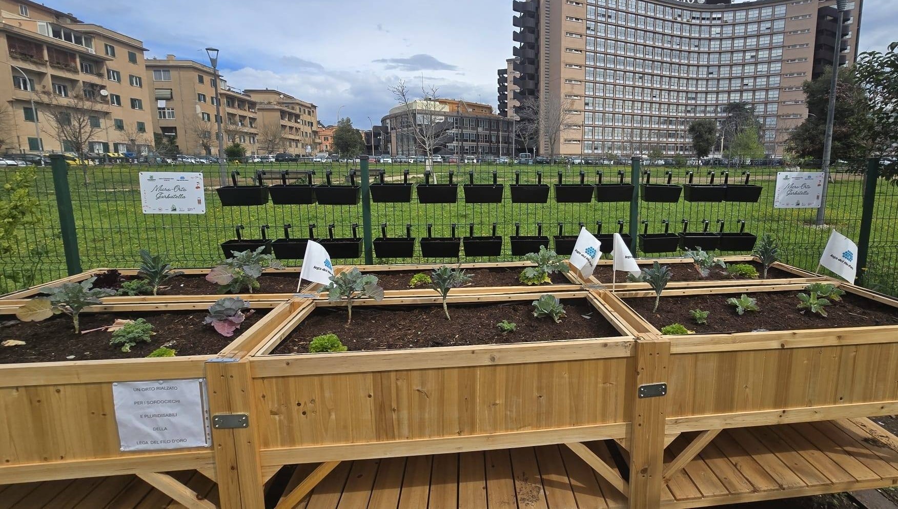 L'immagine mostra alcune delle piante del nuovo Micro-orto della Garbatella a Roma: un piccolo orto sospeso che offre la possibilità alle persone con pluridasibilità psicosensoriale di poter esercitare l’orticoltura