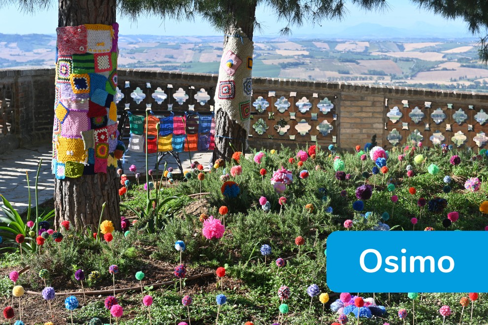 Yarn Bombing - Osimo - aiuola decorata con ponpon