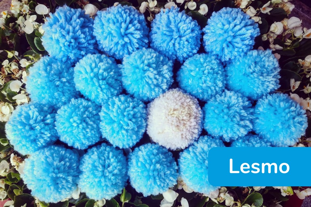 Yarn Bombing - Lesmo - Logo Lega del Filo d'Oro fatto con ponpon colorati