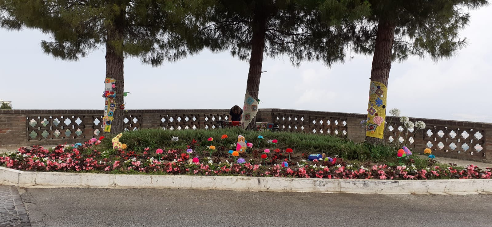 A Osimo, i tre pini sono stati decorati per lo Yarn Bombing: i tronchi sono avvolti da coperte fatte a maglia, mentre l’aiuola alla base è arricchita da pompon colorati che si mescolano ai fiori, creando un’esplosione di colore