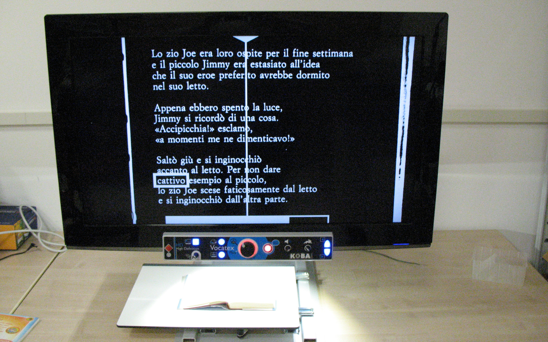 Dettaglio di uno schermo di computer con contrasto aumentato e ingranditore per persone con residuo visivo