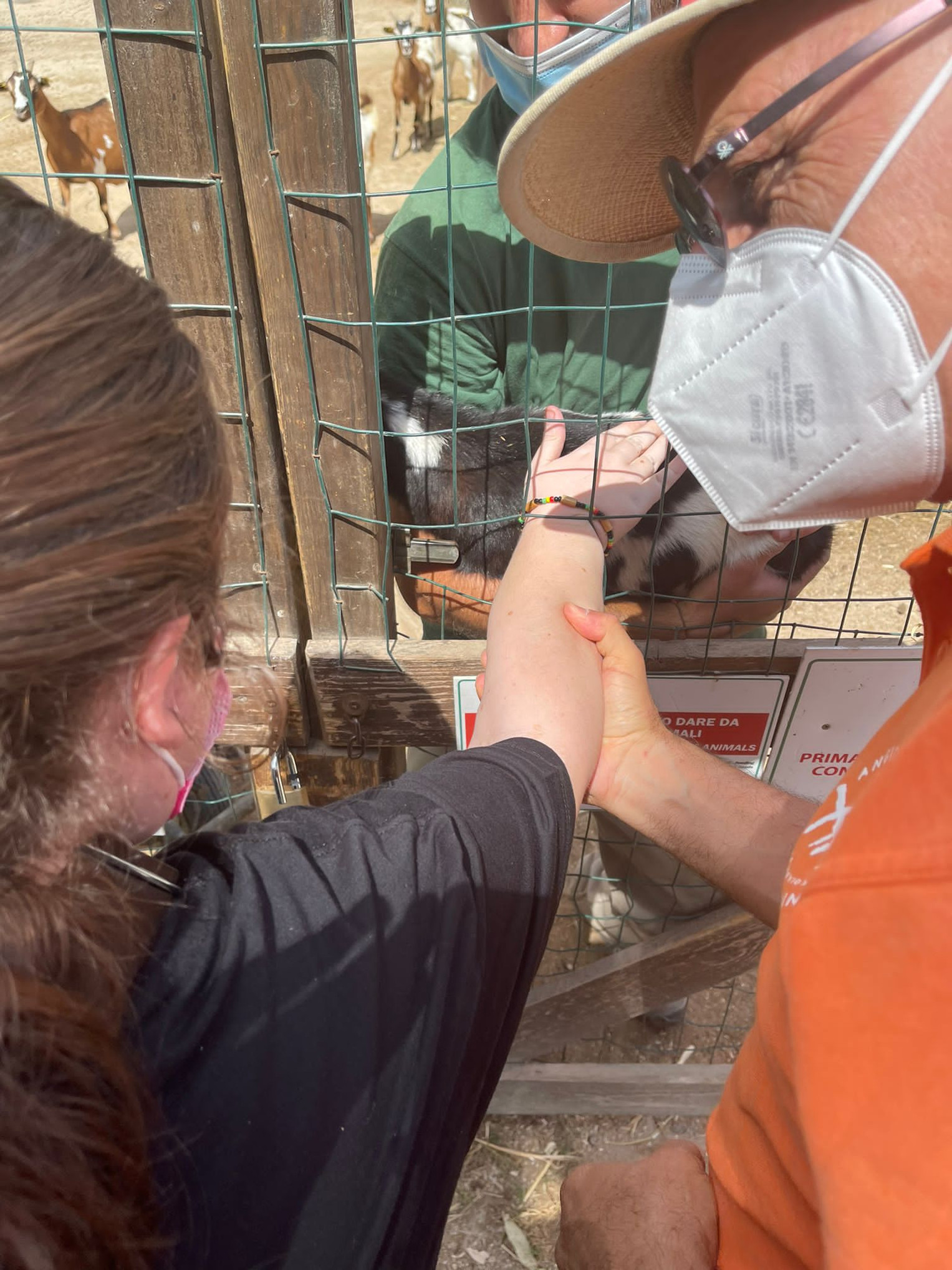 Un'utente tocca un capretto, con l'aiuto di un uomo che la aiuta ad allungare il braccio e di un altro uomo che, dall'altra parte del recinto, tiene in braccio il capretto.