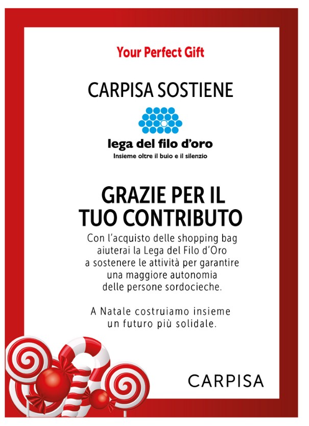 Documento grafico che certifica il contributo di carpisa alla Lega del Filo d'Oro