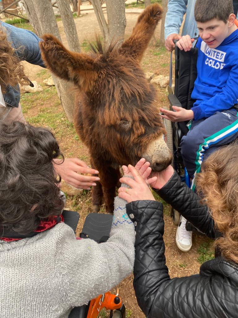 Maria e Federico, due utenti della Lega del Filo d'Oro, fanno conoscenza con l'asinello attraverso il tatto presso la fattoria didattica "il Bosco di Tommy"