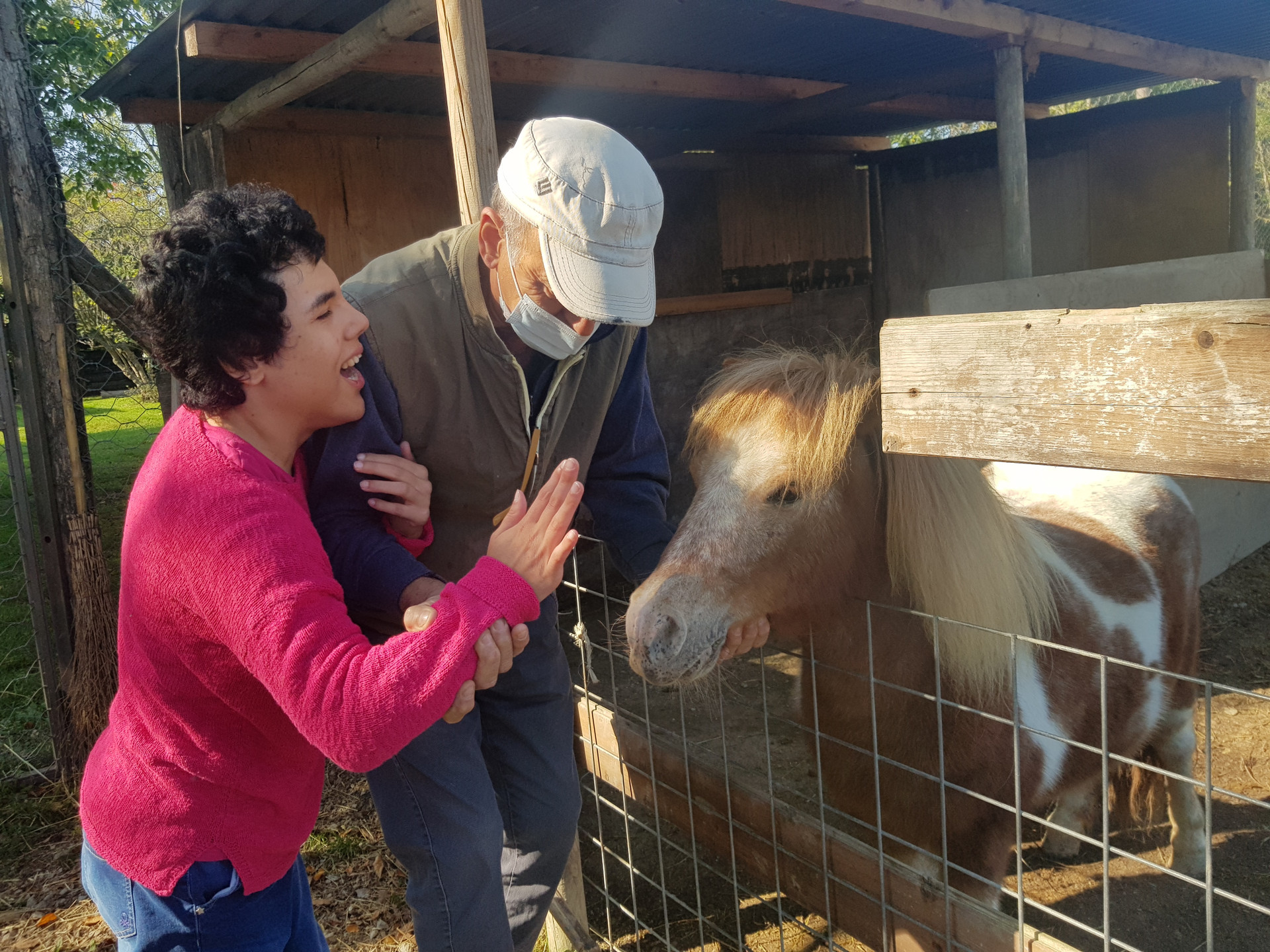 Un'utente adulta in visita alla fattoria accarezza un pony