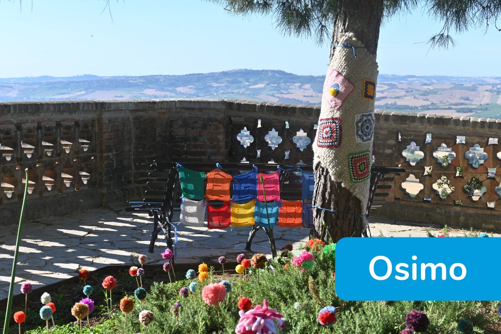 Yarn Bombing - Osimo - aiuola e panchina decorate