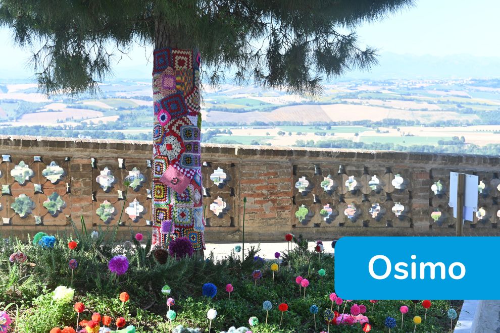 Yarn Bombing - Osimo - manufatti esposti aiuola