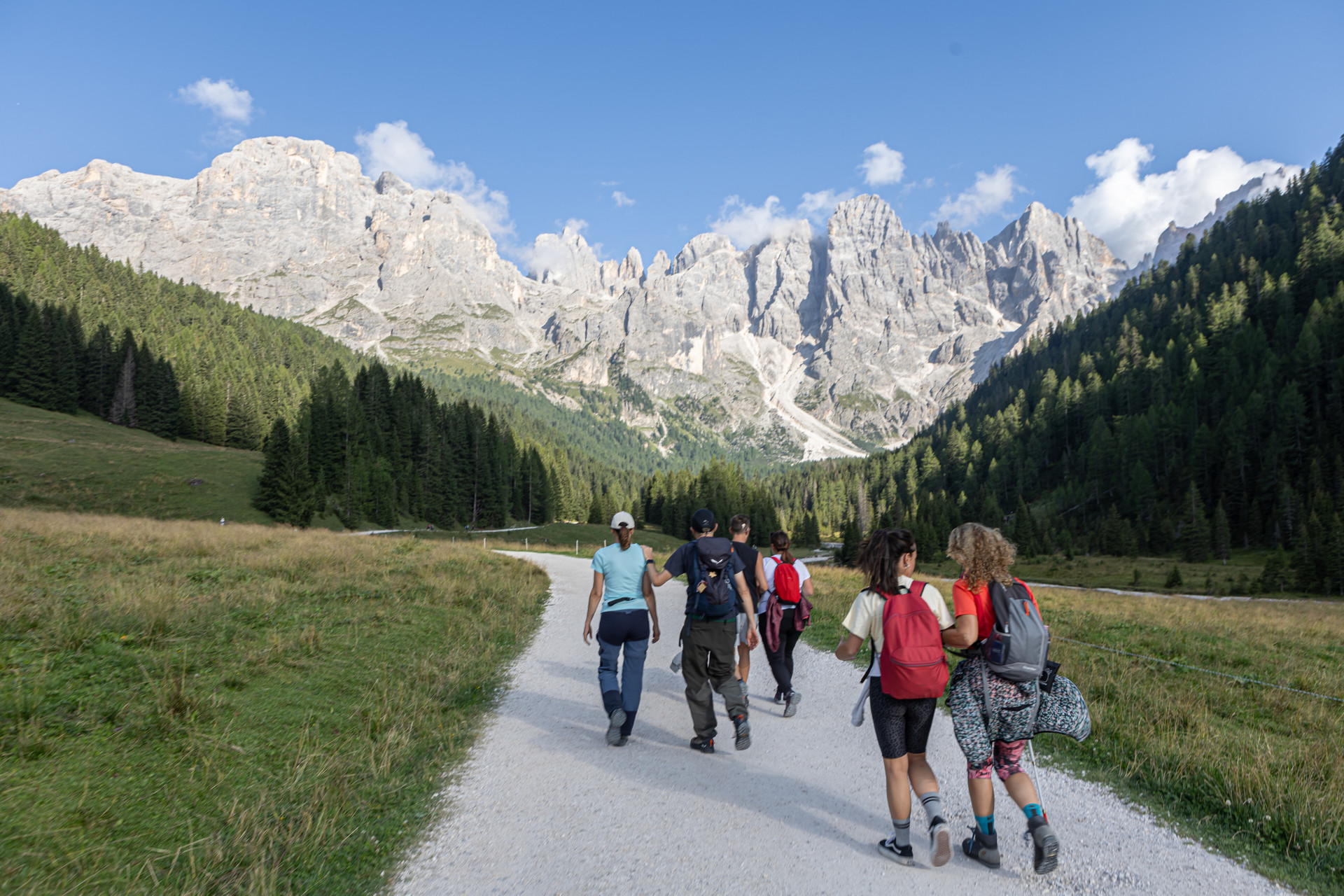 Un gruppo di utenti e volontari cammina lungo una stradina bianca non asfaltata, immersa nei verdi campi di montagna a Predazzo, in Trentino. Sullo sfondo si stagliano le Alpi. 